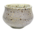 Grauer Punkt Schaelchen